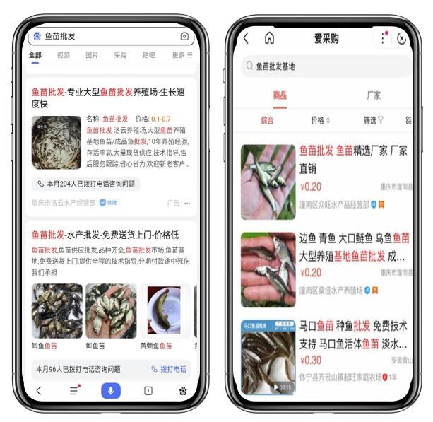百度推广南京-案例分享-南京市奕翔鱼苗